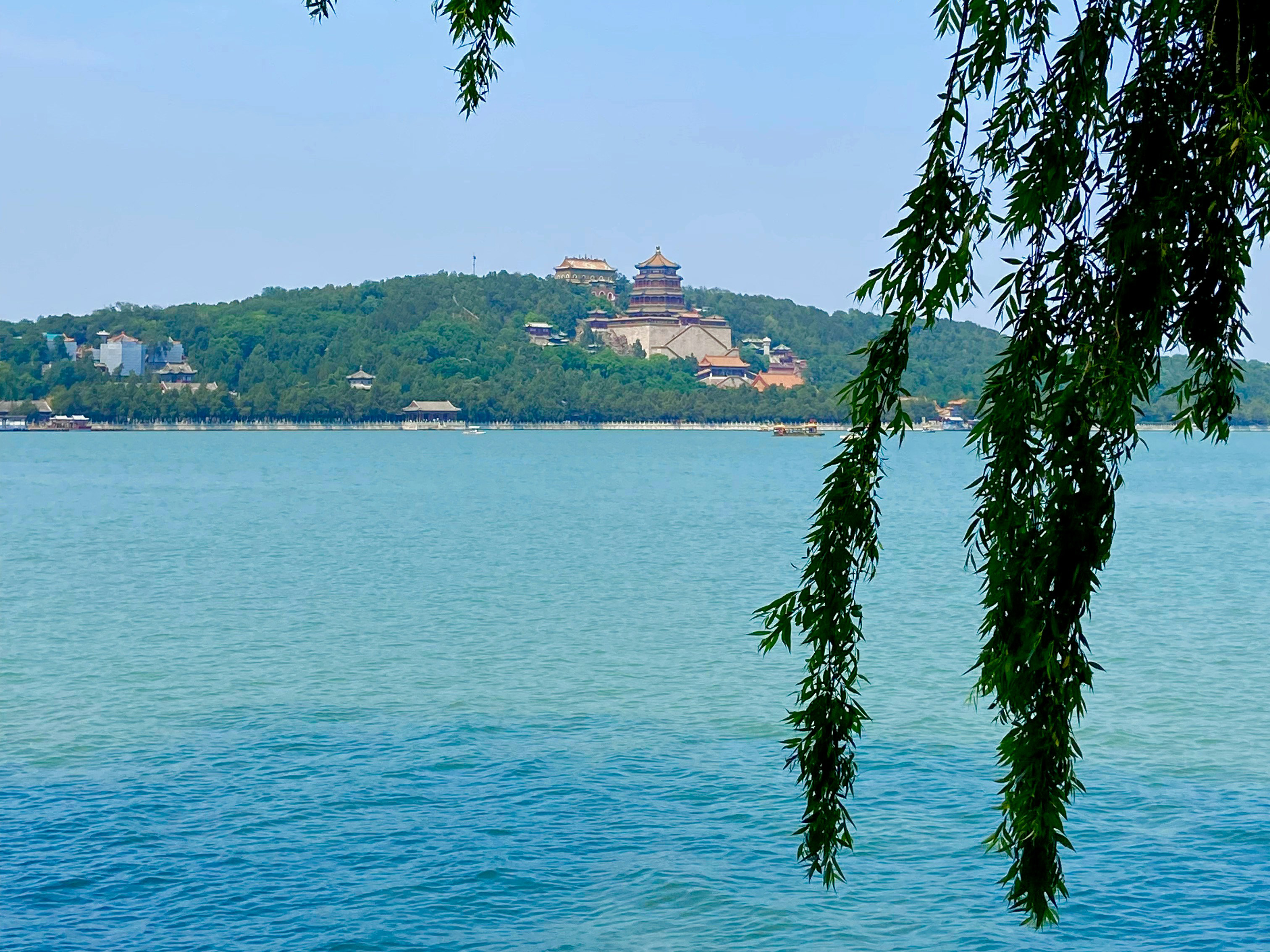 Stone Forest (Shilin) Kunming English private tour guide